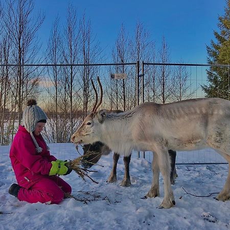 Beautiful Rural Experience With Reindeer Villa Tervola Exteriör bild