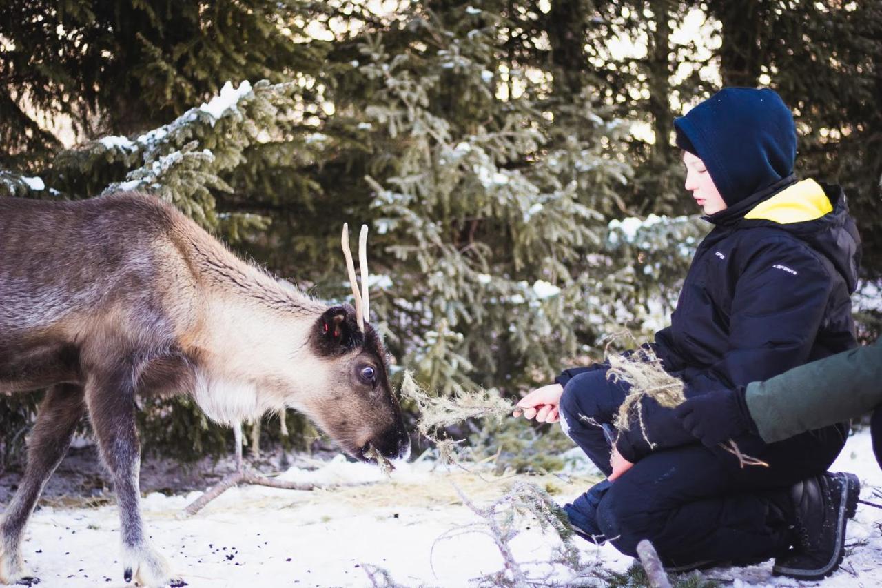 Beautiful Rural Experience With Reindeer Villa Tervola Exteriör bild