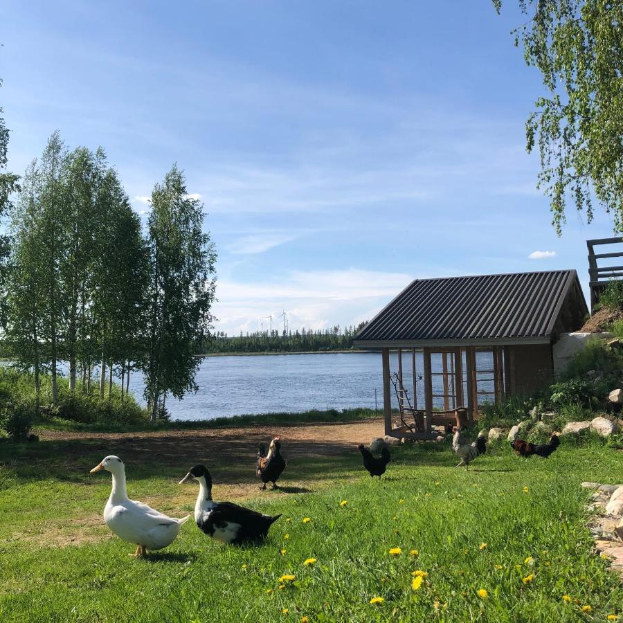 Beautiful Rural Experience With Reindeer Villa Tervola Exteriör bild