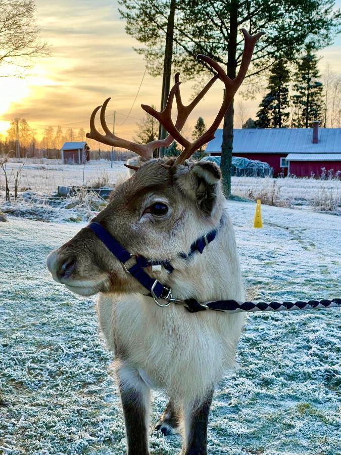 Beautiful Rural Experience With Reindeer Villa Tervola Exteriör bild